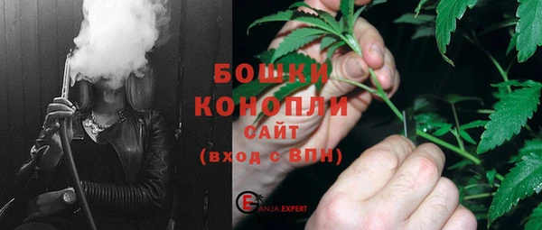 шишки Белоозёрский