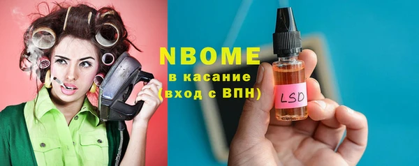 шишки Белоозёрский