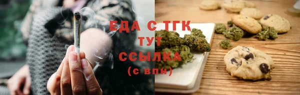 дмт Богданович