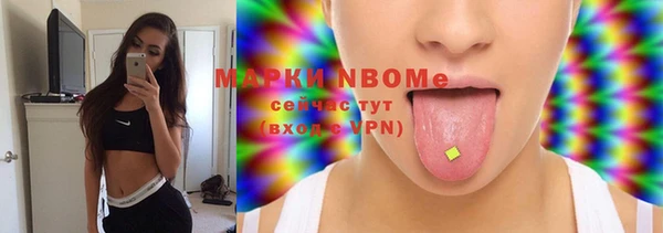 дмт Богданович