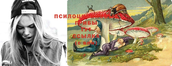 шишки Белоозёрский