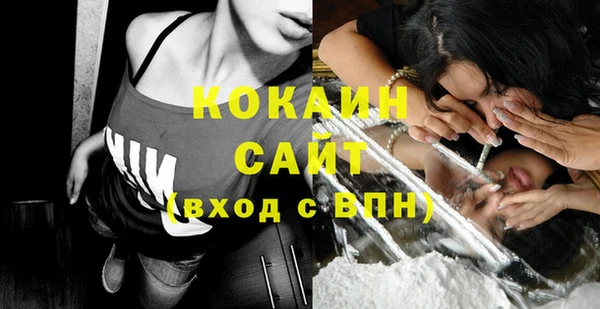 дживик Богородицк