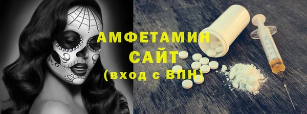 шишки Белоозёрский