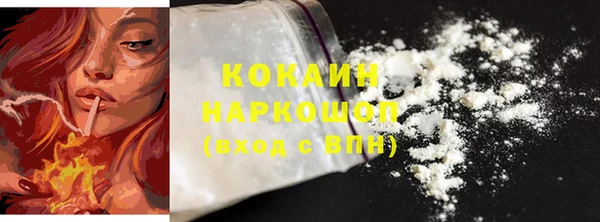 дживик Богородицк